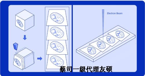 彭水蔡司彭水扫描电镜