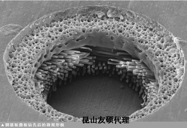 彭水蔡司彭水扫描电镜